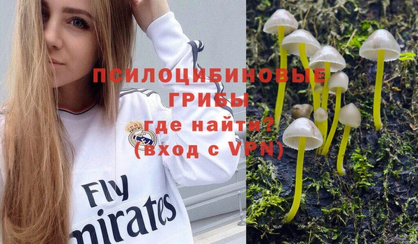 молекула духа Белокуриха