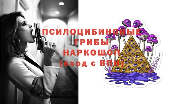 молекула духа Белокуриха